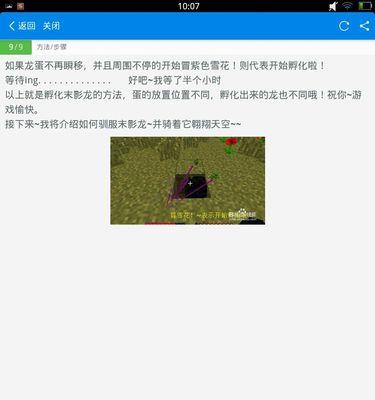 在手机上我的世界如何孵化龙蛋？
