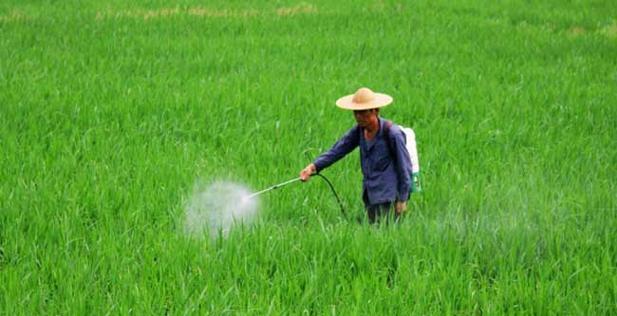 农药喷洒音响的使用方法是什么？如何正确操作？