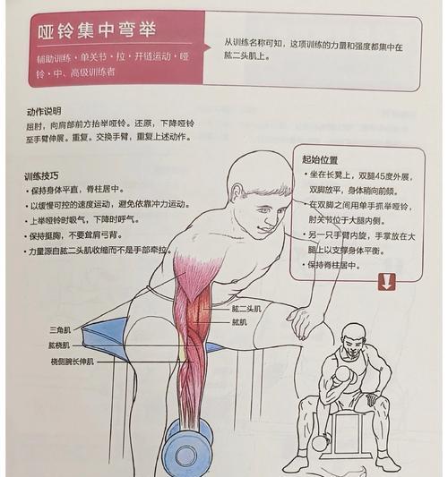 拥有强壮上肢的秘诀（揭秘最有效的训练方法）